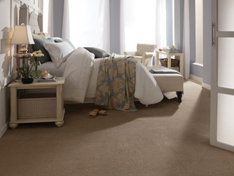 Gallery of Floors - Carpet